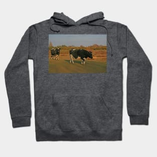 Shetland Cattle, Turbary Common, March 2021 Hoodie